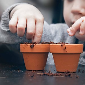 Κηπουρική για παιδιά από Pots & Plants by b2mt