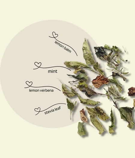 Soothing Core Herbal Tea